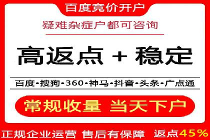 行业领先SEM托管代运营案例